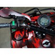 Электроквадроцикл ATV Барс 1000 Раптор