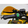 Электрический квадроцикл Барс 1000XL Саламандр