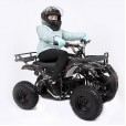 Квадроцикл ATV Мини Барс 800 RC Флэш